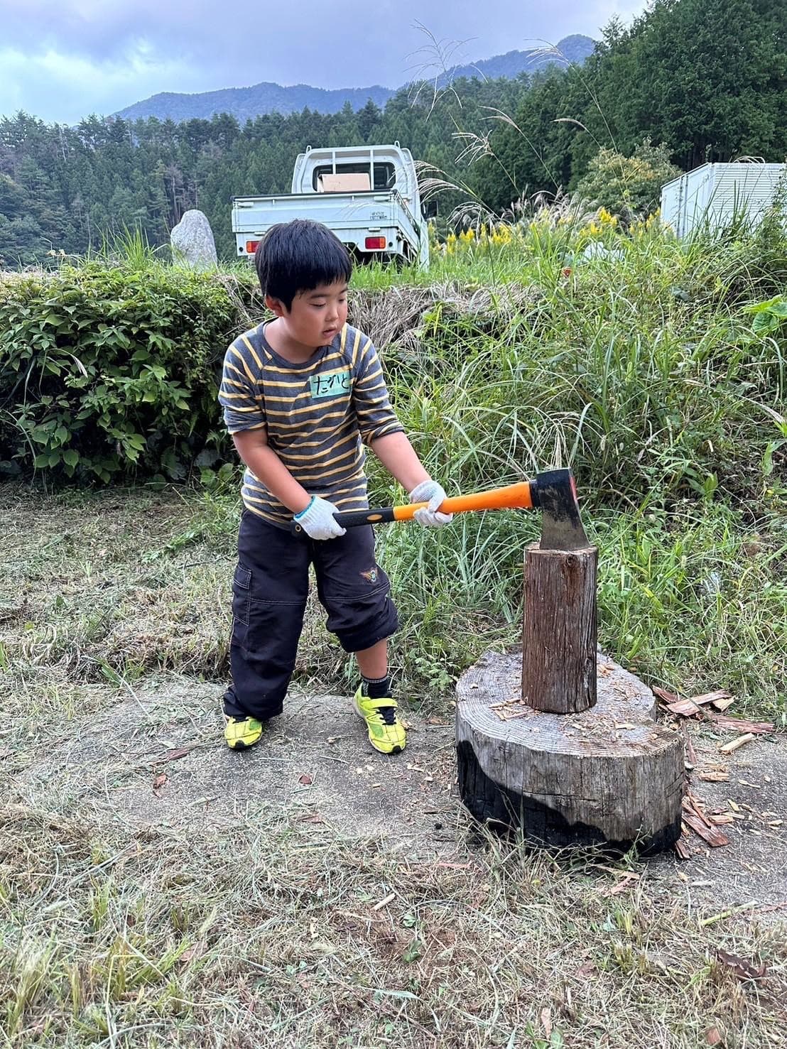 生きる力を養える自然遊び